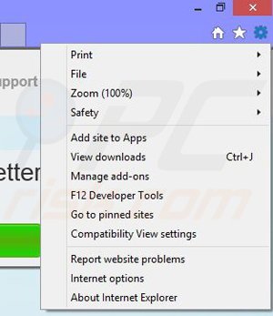 Removing PlumoWeb from Internet Explorer step 1