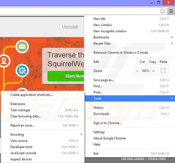 Removing SquirrelWeb from Google Chrome step 1