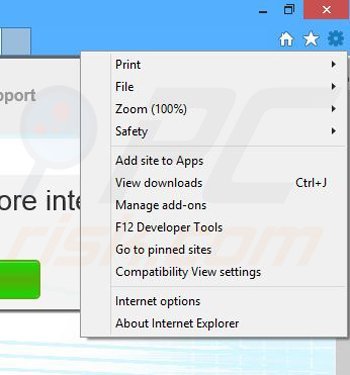 Removing Techgile from Internet Explorer step 1