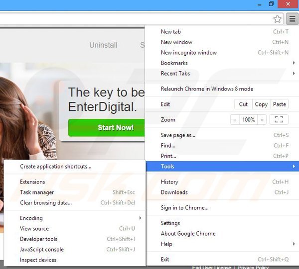 Removing EnterDigital from Google Chrome step 1