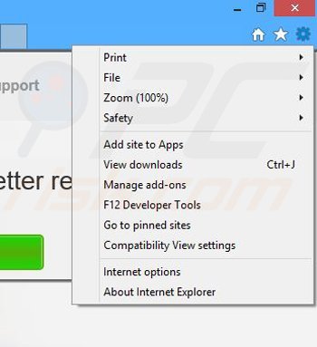 Removing EnterDigital from Internet Explorer step 1