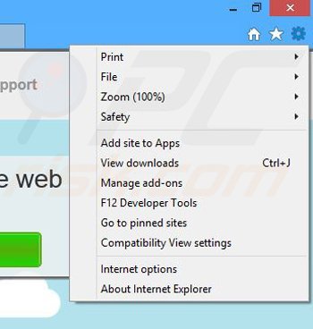 Removing Lite Web from Internet Explorer step 1