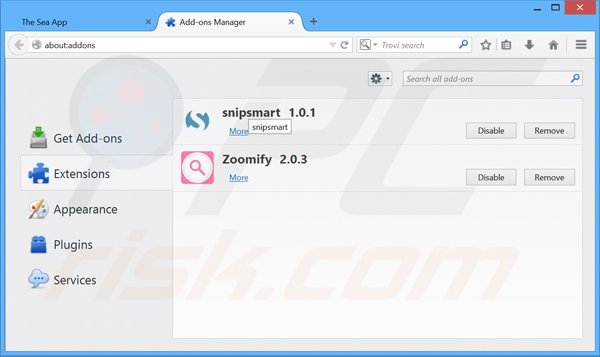 Removing sea ads from Mozilla Firefox step 2