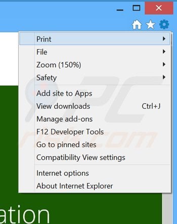 Removing TrueDownloader ads from Internet Explorer step 1