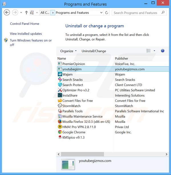 youtubegizmos adware uninstall via Control Panel