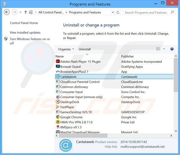 cantataweb adware uninstall via Control Panel