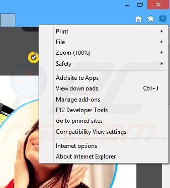 Removing Mobius Radio ads from Internet Explorer step 1