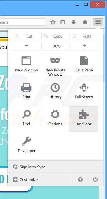 Removing Web Zoom ads from Mozilla Firefox step 1