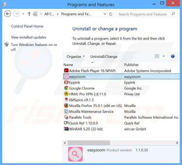 Eazy Zoom adware uninstall via Control Panel