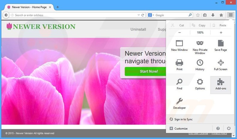 Removing Newer Version ads from Mozilla Firefox step 1