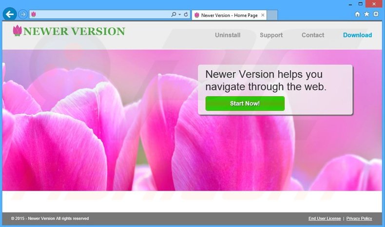 Newer Version adware