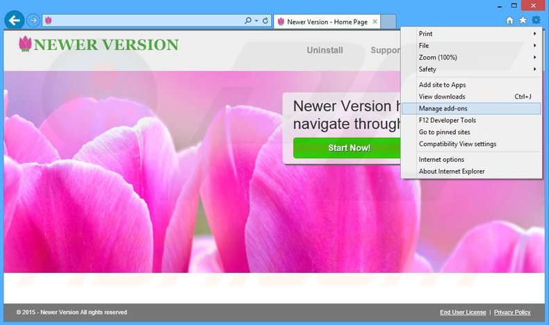 Removing Newer Version ads from Internet Explorer step 1