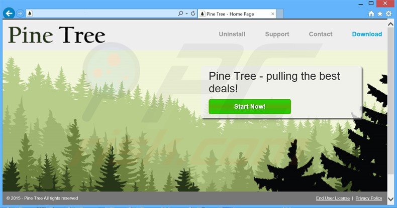 pine tree adware