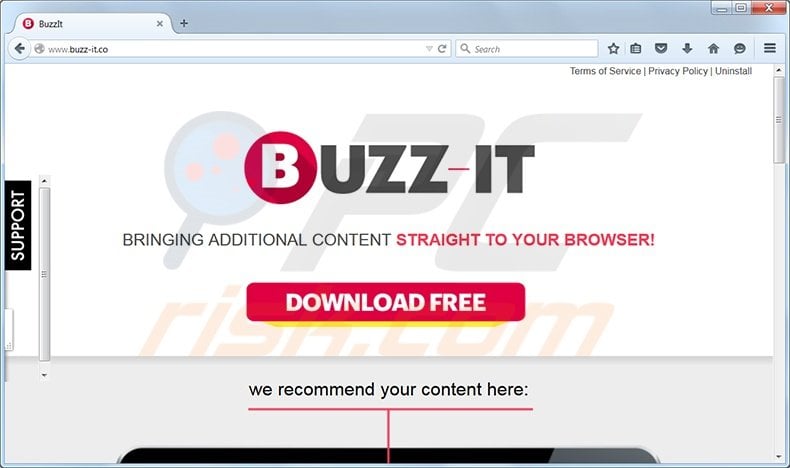 buzz-it virus
