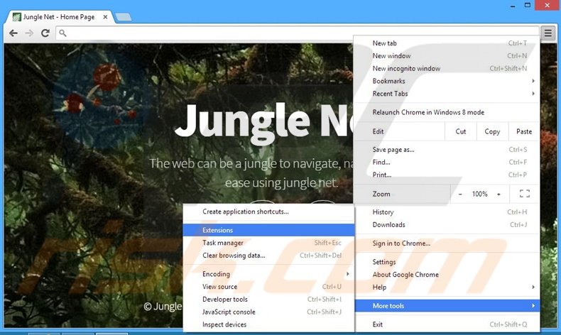 Removing Jungle Net ads from Google Chrome step 1