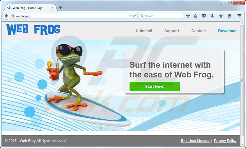 Web Frog Ads