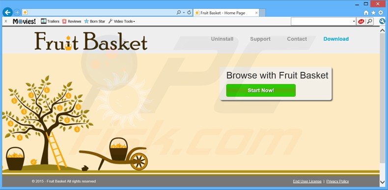 fruit basket adware