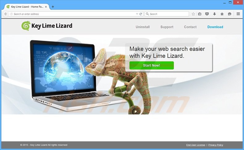 Key Lime Lizard Ads