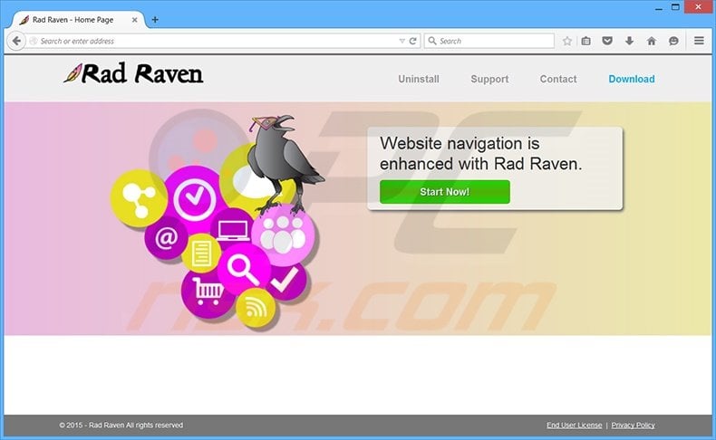 Rad Raven Ads