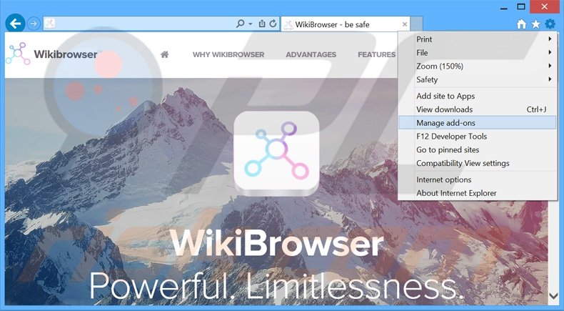 Removing WikiBrowser ads from Internet Explorer step 1