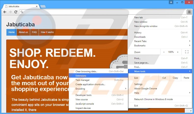 Removing Jabuticaba  ads from Google Chrome step 1