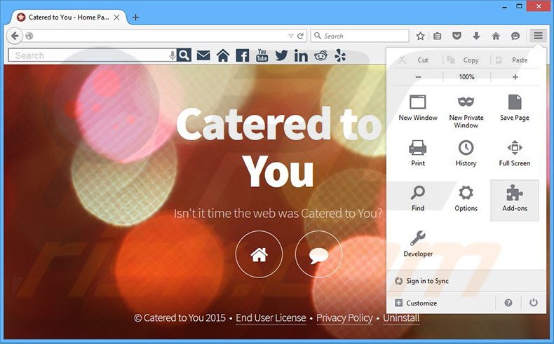 Removing Catered to You ads from Mozilla Firefox step 1