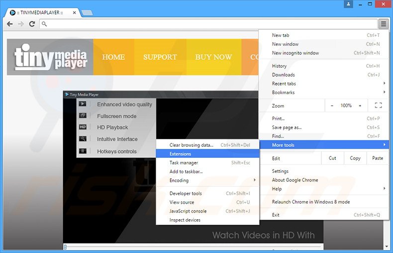 Removing Tiny Media Player  ads from Google Chrome step 1