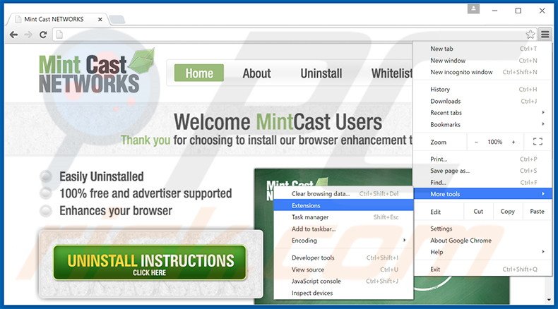 Removing Mint Cast Networks  ads from Google Chrome step 1