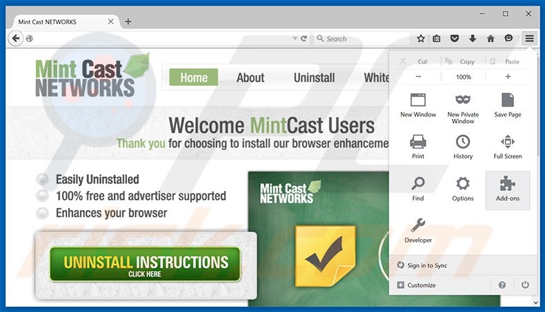 Removing Mint Cast Networks ads from Mozilla Firefox step 1