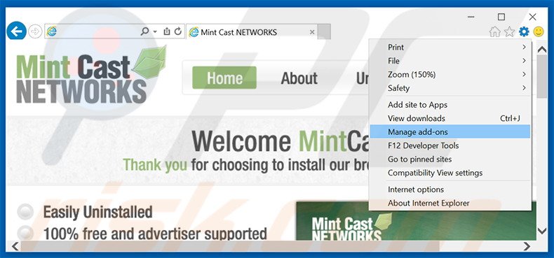 Removing Mint Cast Networks ads from Internet Explorer step 1