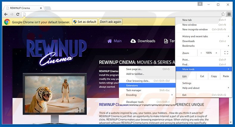 Removing REWINUP Cinema  ads from Google Chrome step 1