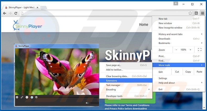 Removing SkinnyPlayer  ads from Google Chrome step 1