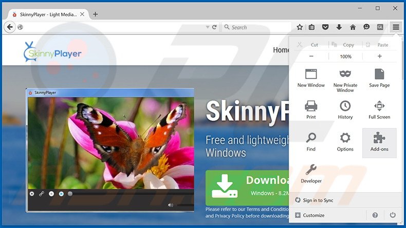 Removing SkinnyPlayer ads from Mozilla Firefox step 1