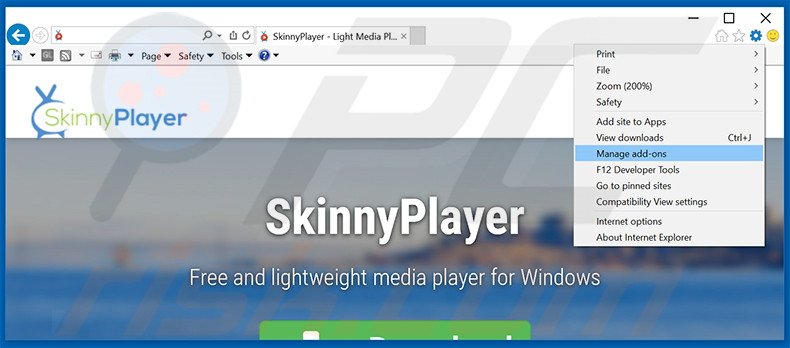 Removing SkinnyPlayer ads from Internet Explorer step 1