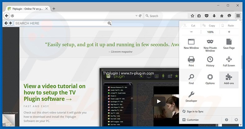 Removing Tv-Plug-In ads from Mozilla Firefox step 1