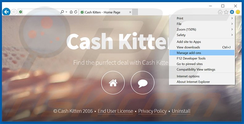 Removing Cash Kitten ads from Internet Explorer step 1