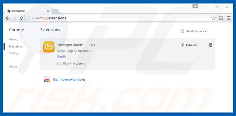 Removing search.holainput.com related Google Chrome extensions
