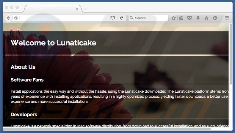 Dubious website used to promote search.lunaticake.com