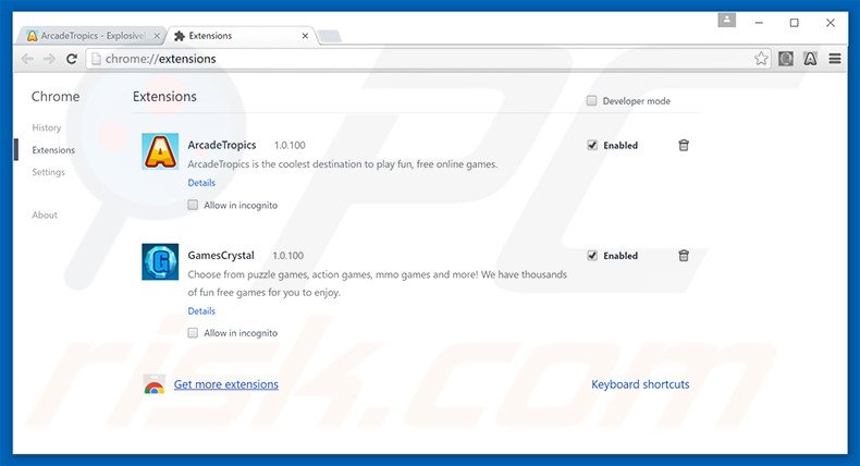 Removing ArcadeTropics ads from Google Chrome step 2