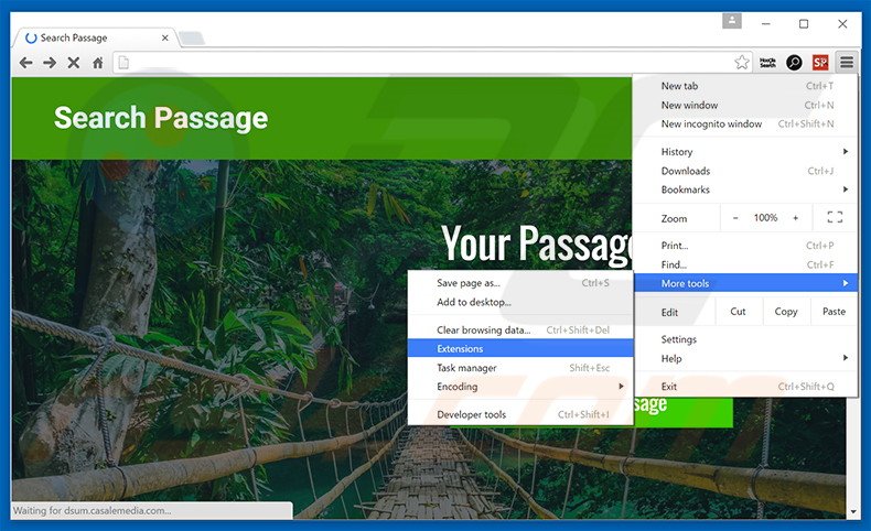 Removing Search Passage  ads from Google Chrome step 1