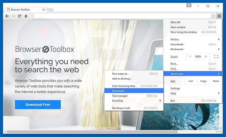 Removing Browser Toolbox  ads from Google Chrome step 1