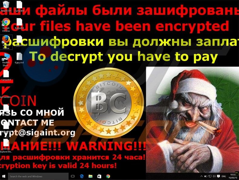 DED Cryptor decrypt instructions