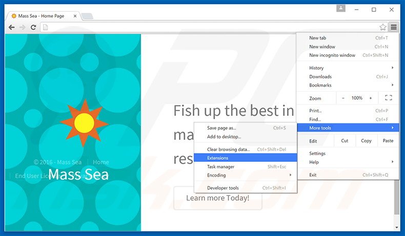 Removing Mass Sea  ads from Google Chrome step 1