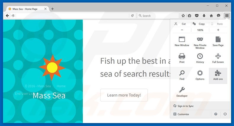 Removing Mass Sea ads from Mozilla Firefox step 1
