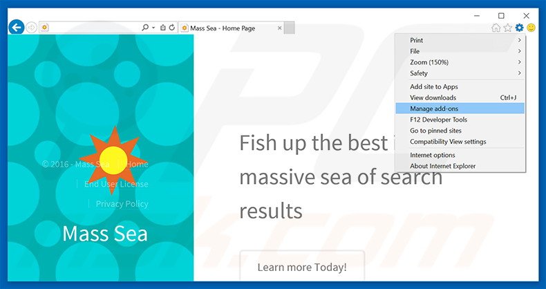 Removing Mass Sea ads from Internet Explorer step 1