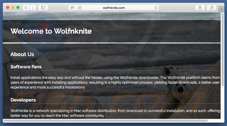 Dubious website used to promote search.wolfnknite.com
