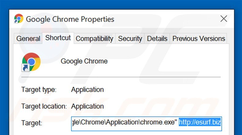 Removing esurf.biz from Google Chrome shortcut target step 2