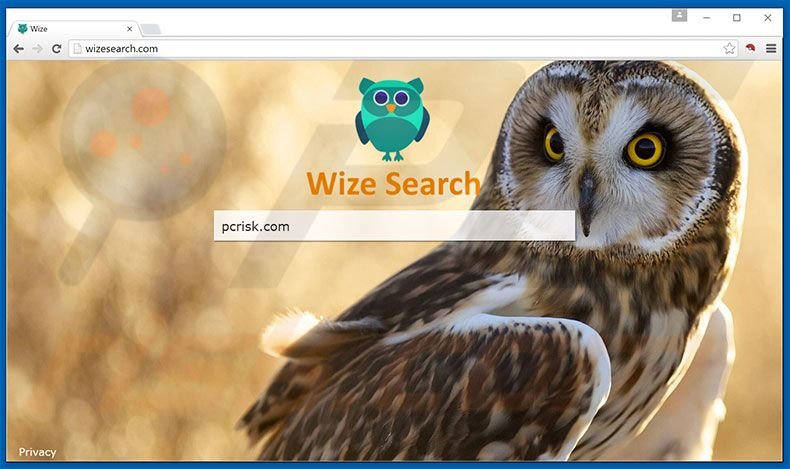 wizesearch.com browser hijacker