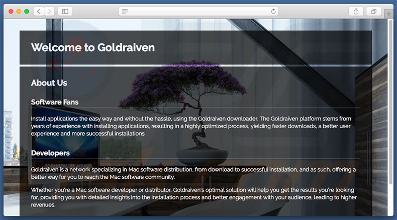 Dubious website used to promote search.goldraiven.com
