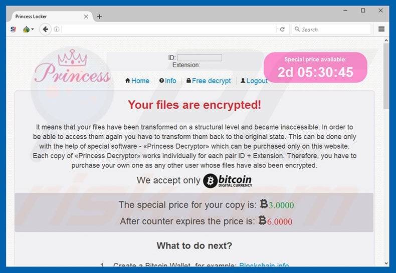 Princess ransomware website payment page